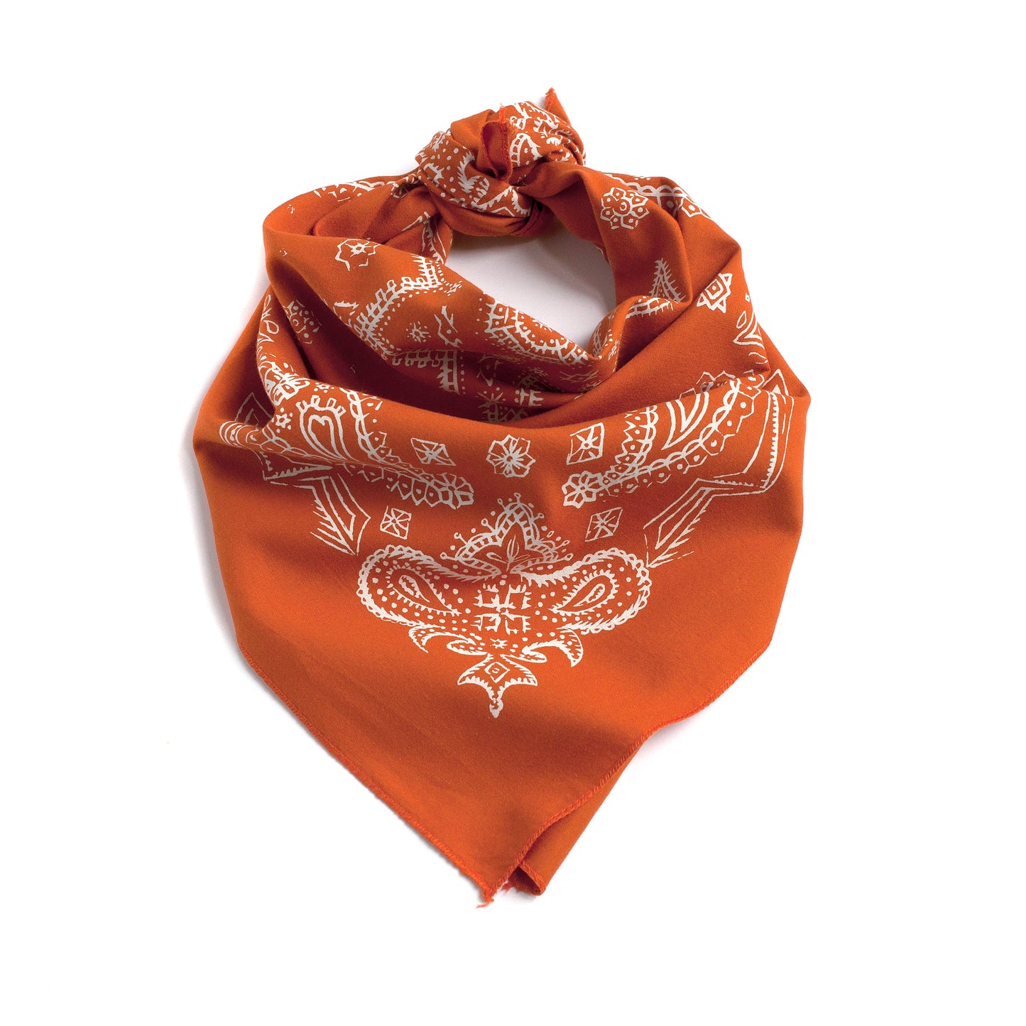 Marmalade Sketched Paisley Bandana