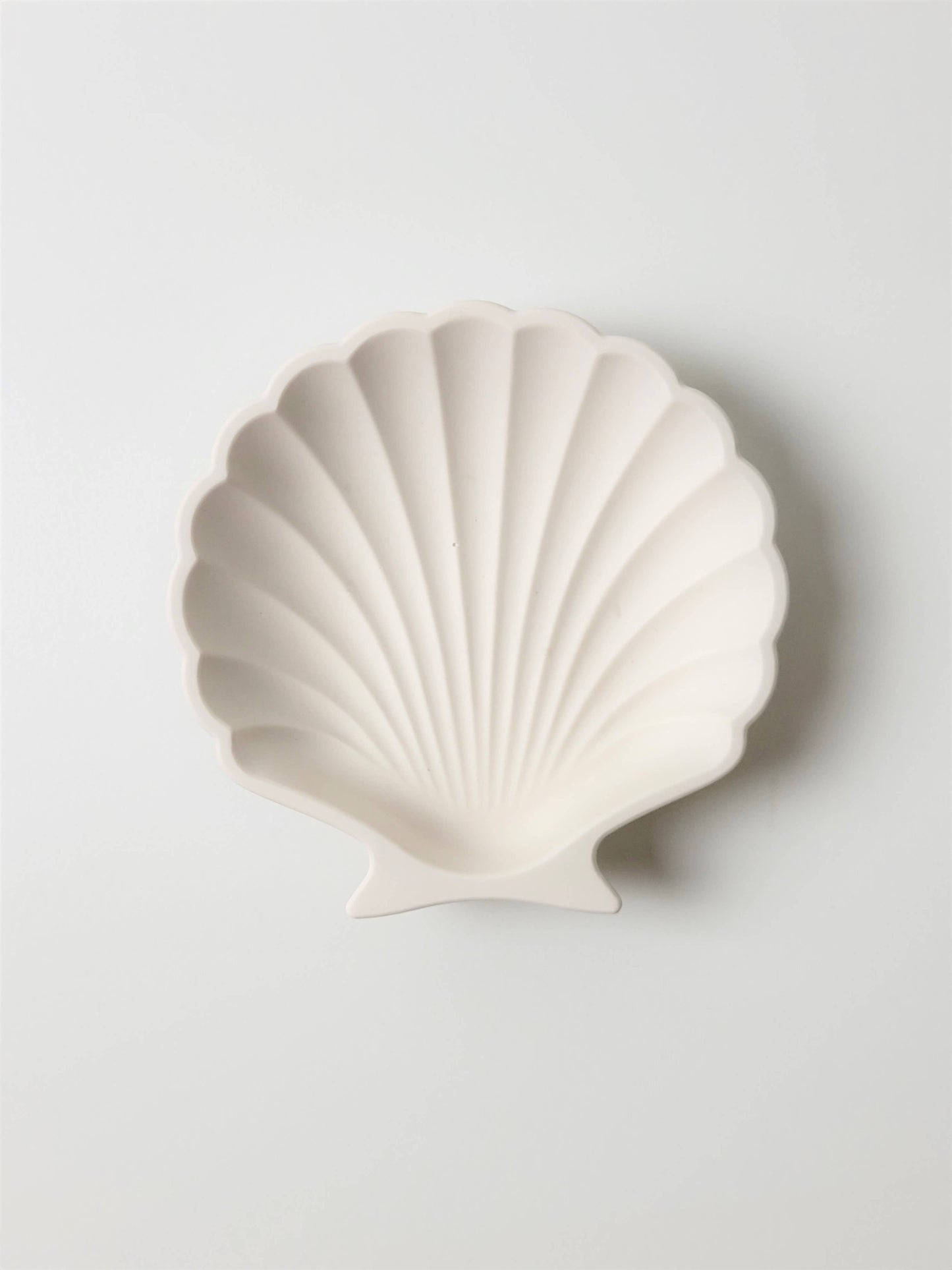 Sea Shell trinket dish | jewelry tray