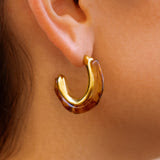 Amber earrings