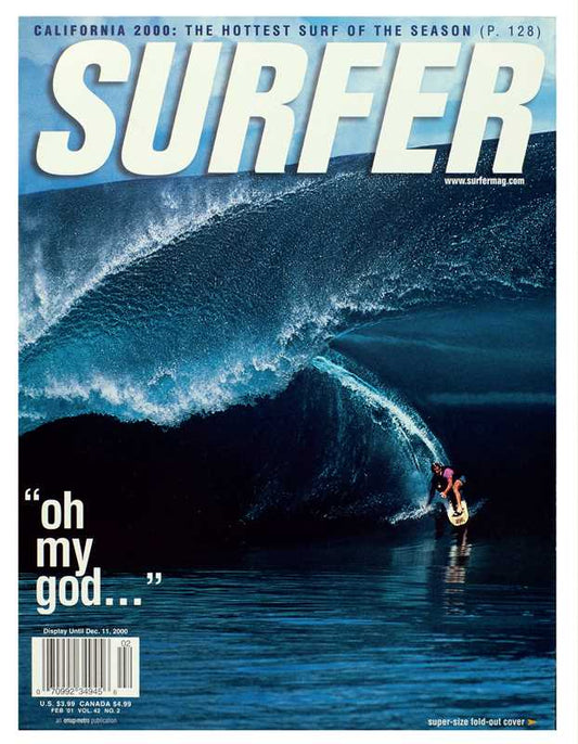 Surfer Stories by Claudia Lebenthal: Hardcover; 270 pages / English