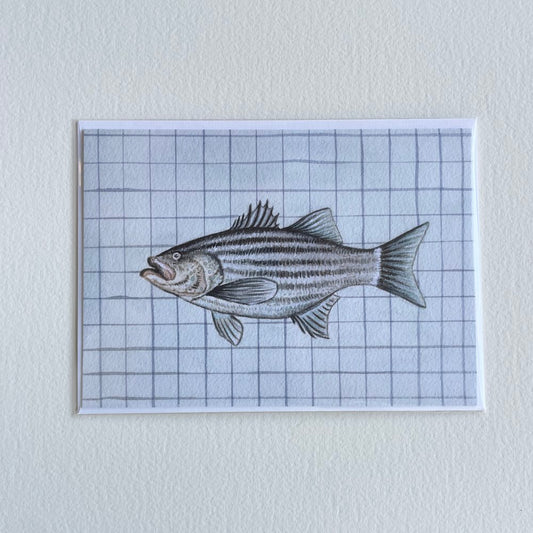 Striped Bass Greeting Card
