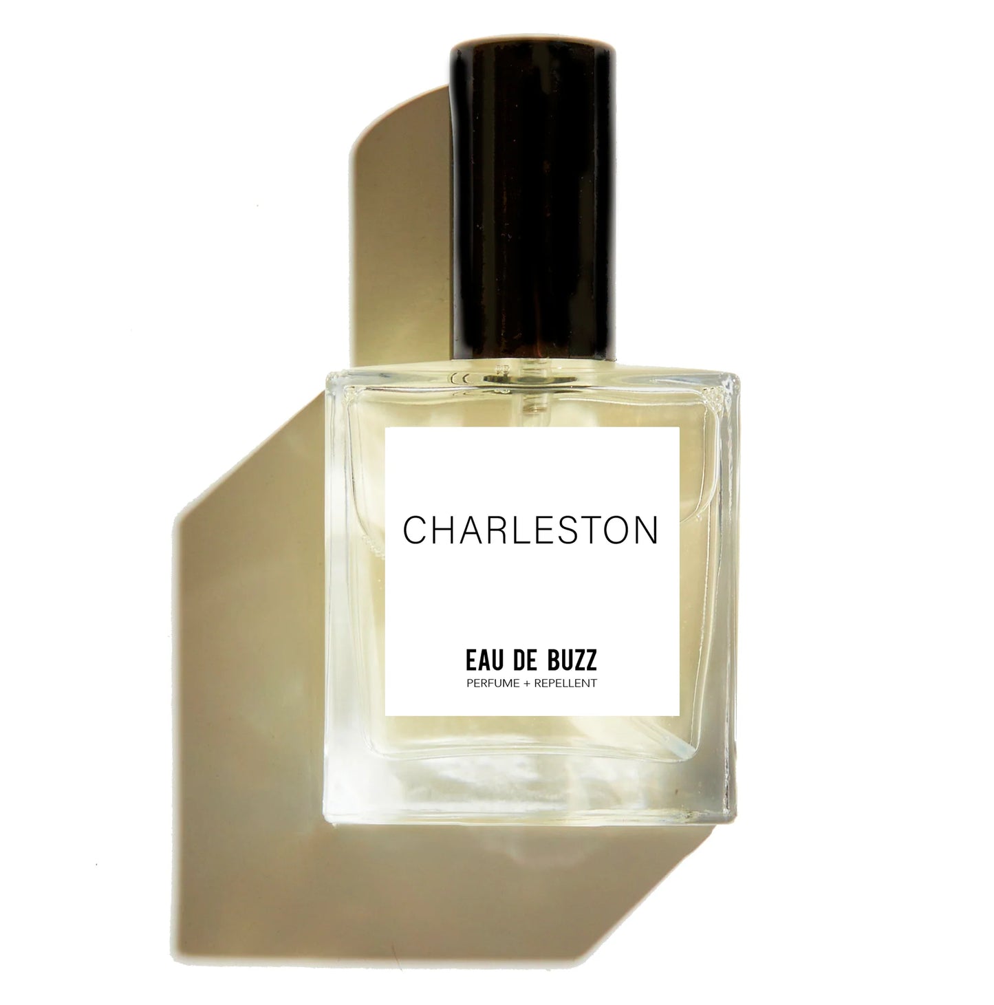 The Buzz- Charleston