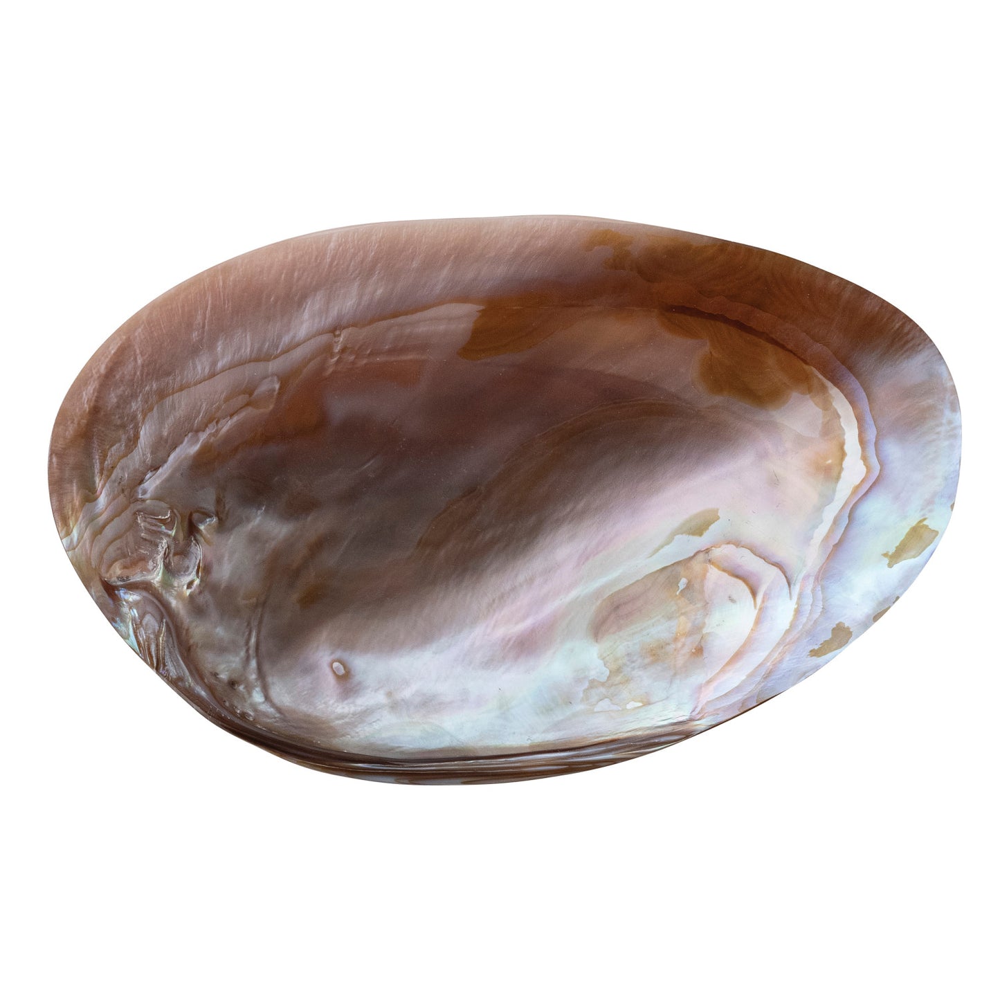The Mrs. Pearl Dish