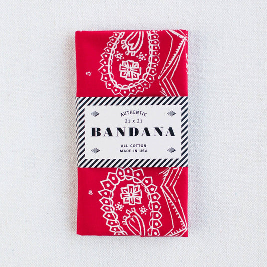 Red Sketched Paisley Bandana