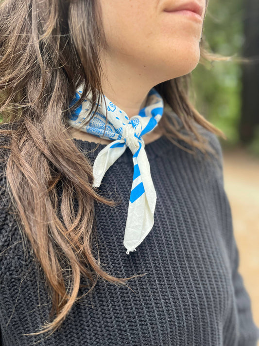 Summer Picnic Bandana