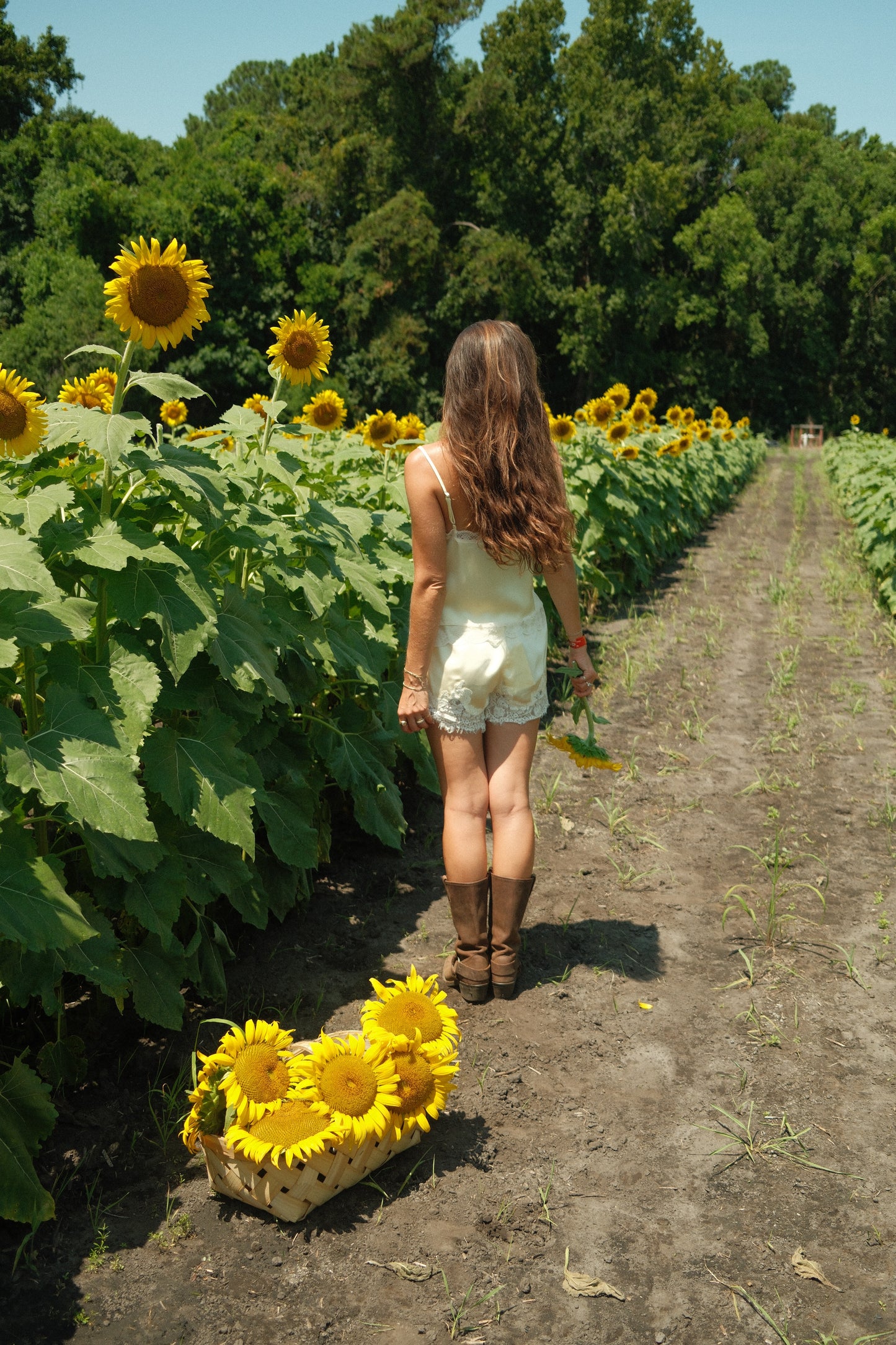 The Sara Shorts | Satin Lace Shorts