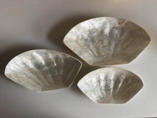 Mother of Pearl Shell Catch All Set of 3