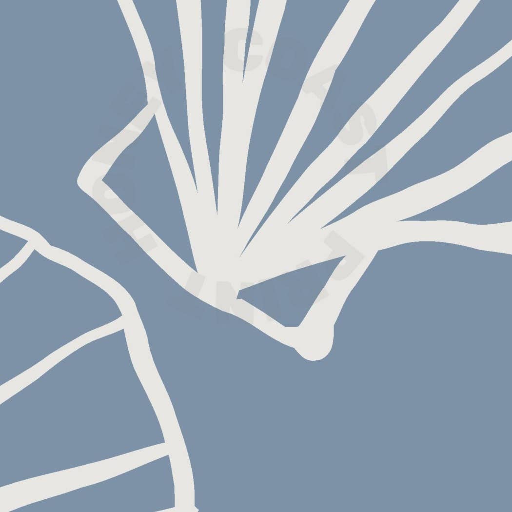 Hand Drawn Seashells Sketch Wall Art Coastal Blue Prints: 9" x 11"