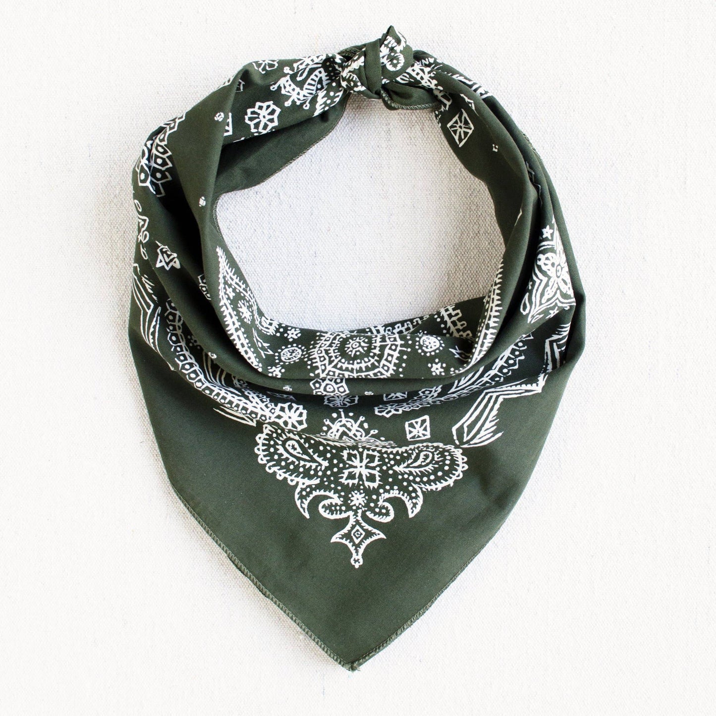Olive Sketched Paisley Bandana