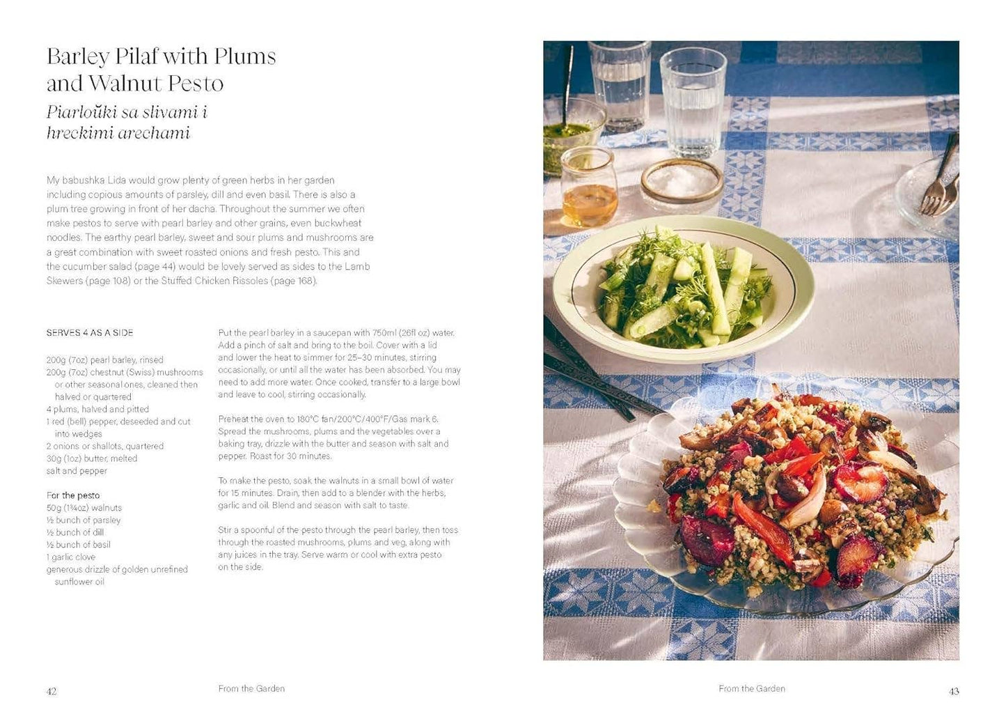 Sour Cherries and Sunflowers