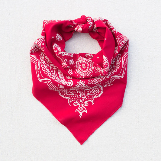 Red Sketched Paisley Bandana