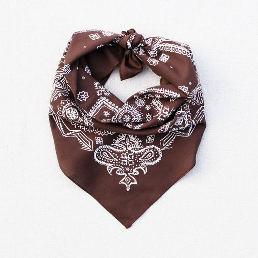 Brown Sketched Paisley Bandana