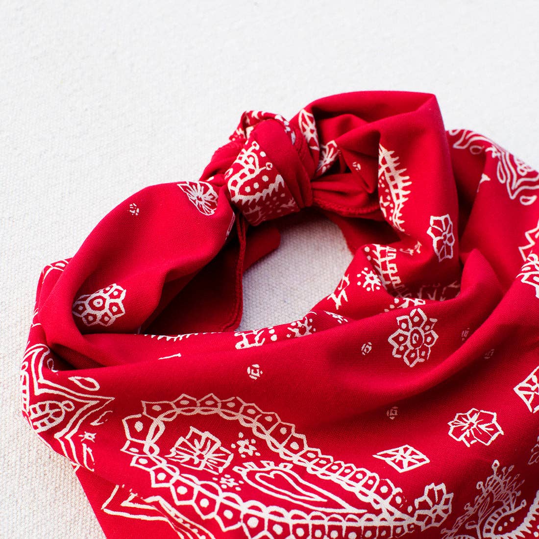 Red Sketched Paisley Bandana