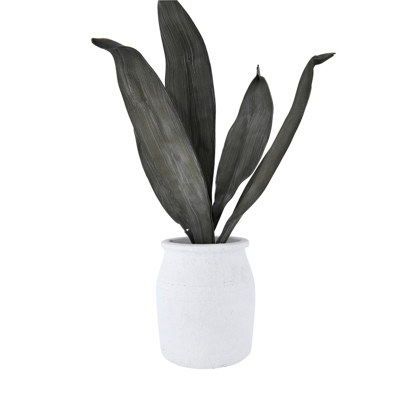 Terracotta Crock