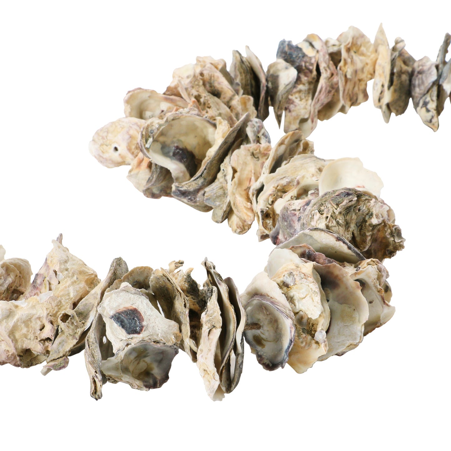 Oyster Shell Garland with Raffia Tassels