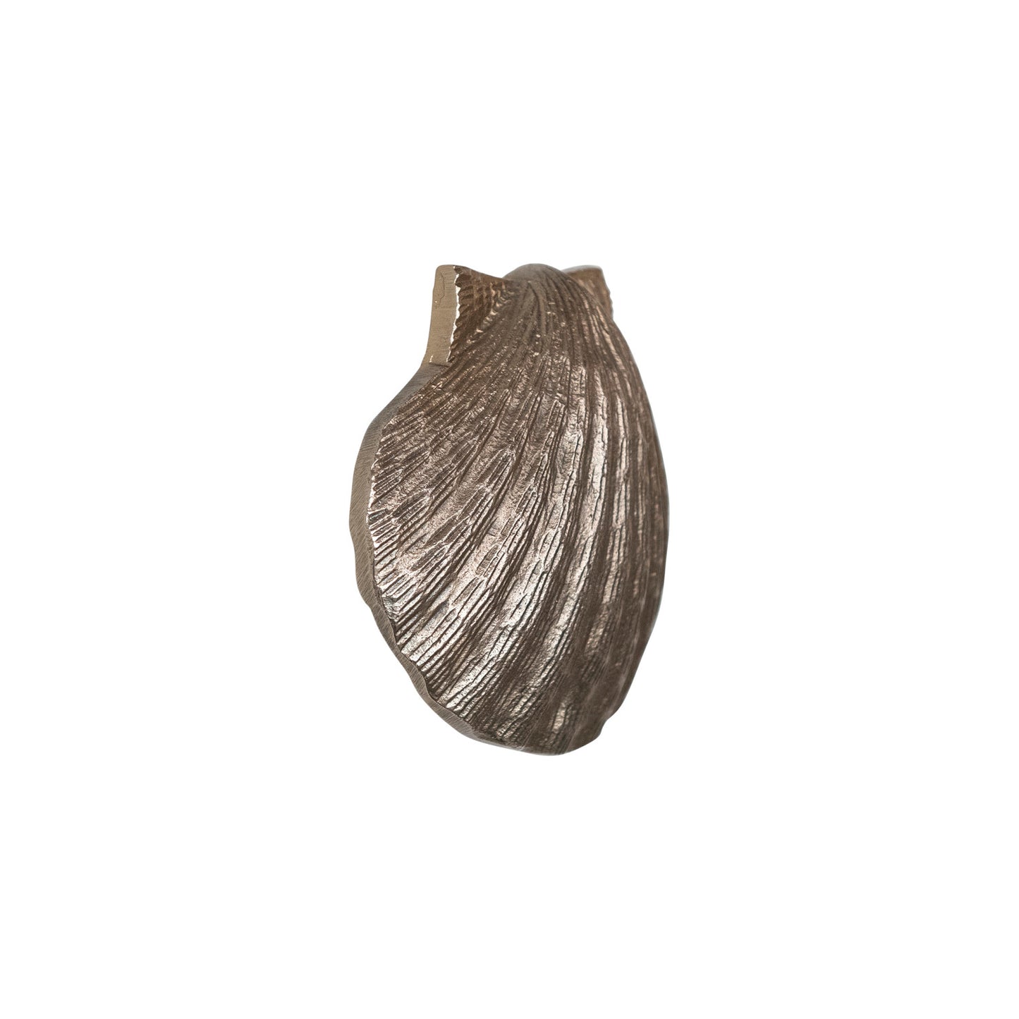 Shell Door Knocker