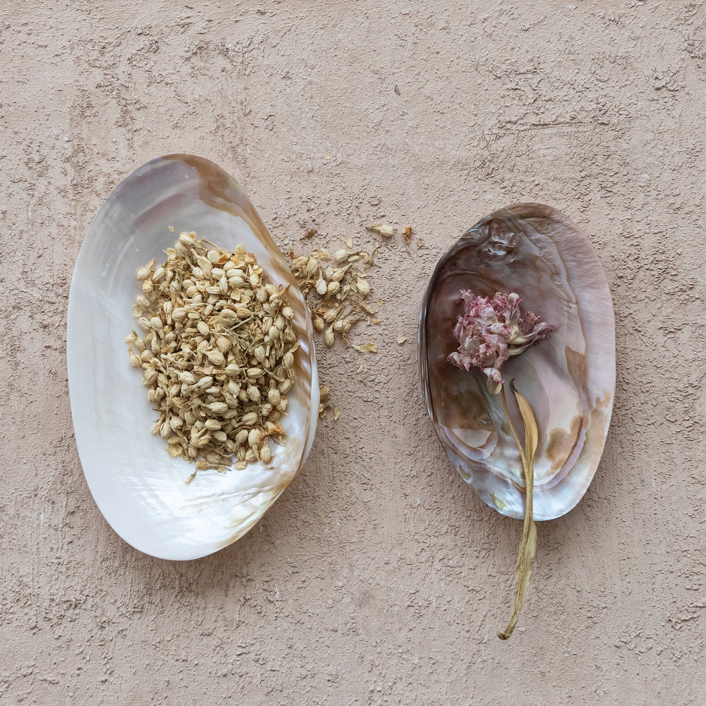 Shell Footed Dish