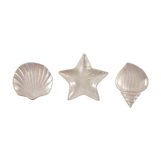 The Seashell Plates