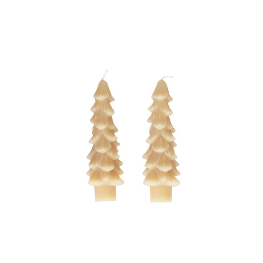 Tree Taper set, unscented (Short)