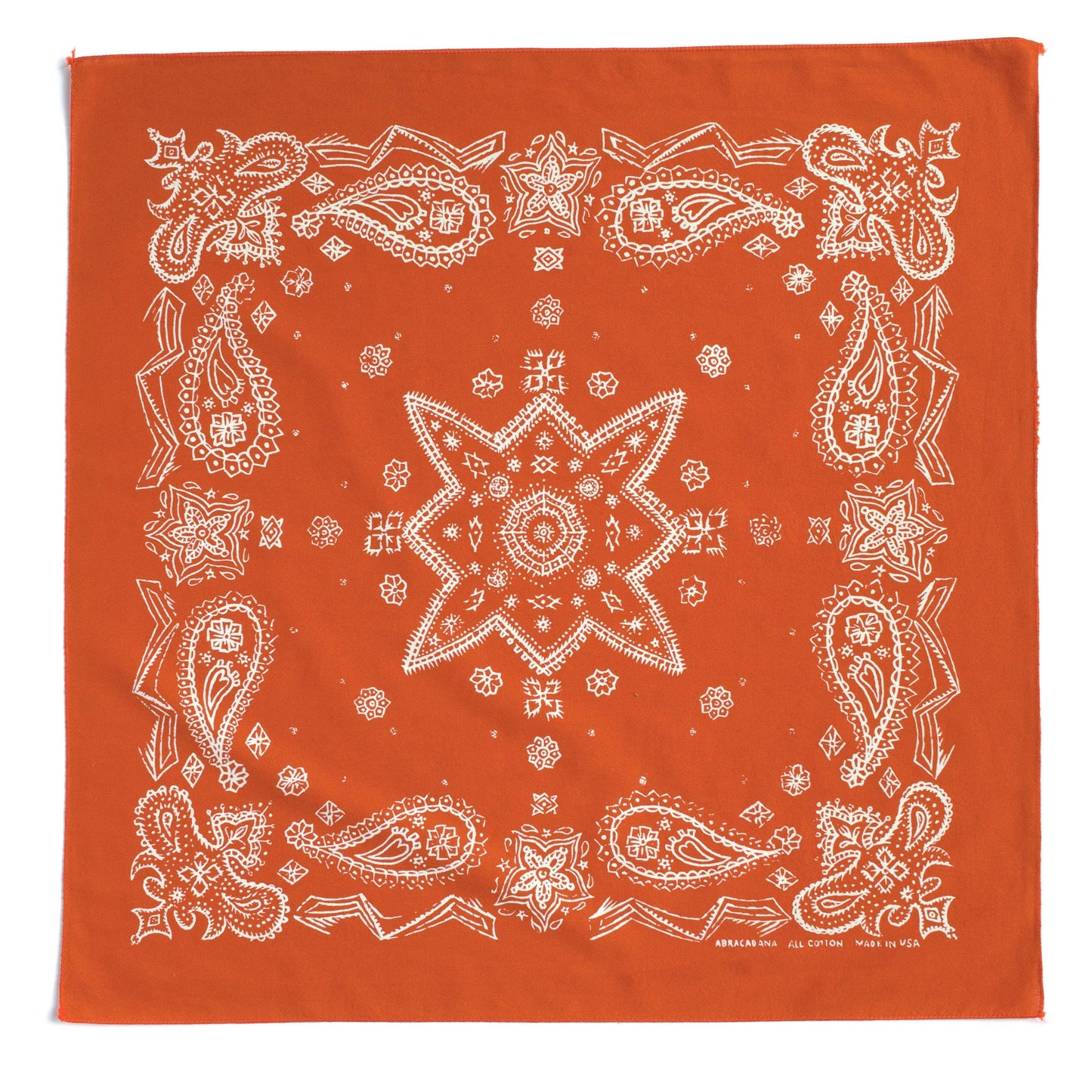 Marmalade Sketched Paisley Bandana