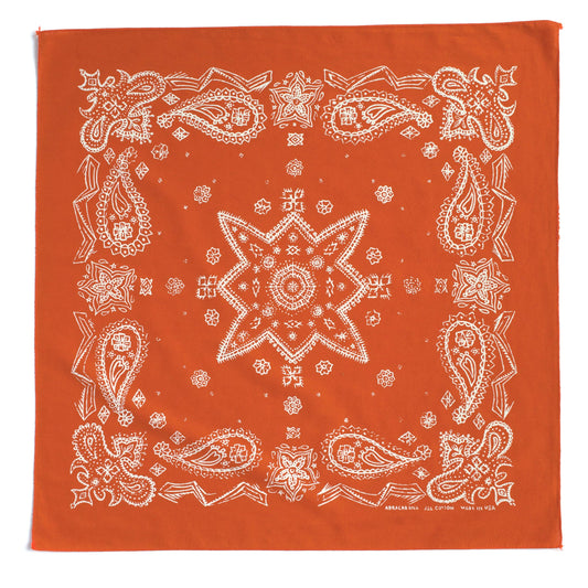 Marmalade Sketched Paisley Bandana