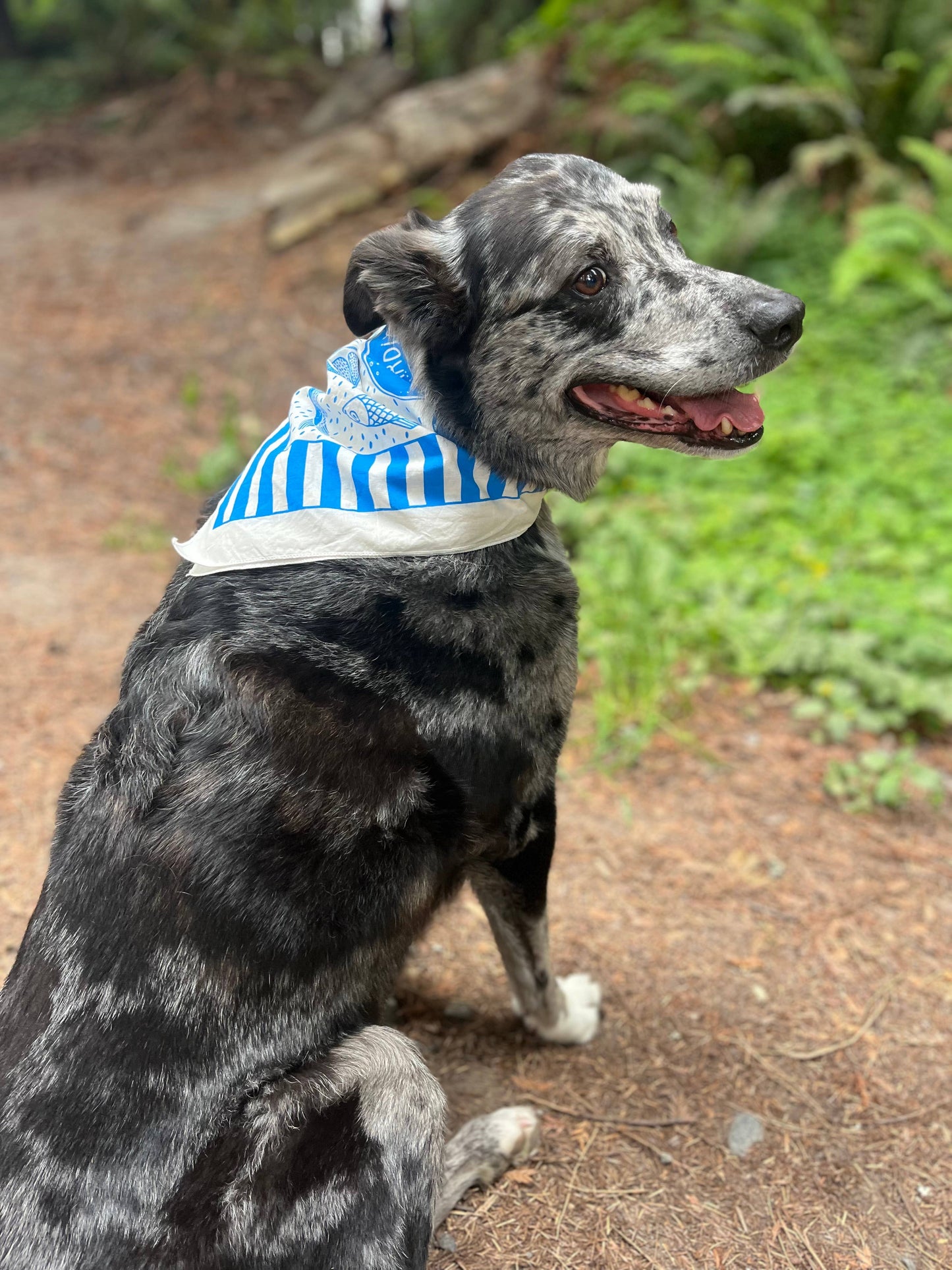 Summer Picnic Bandana