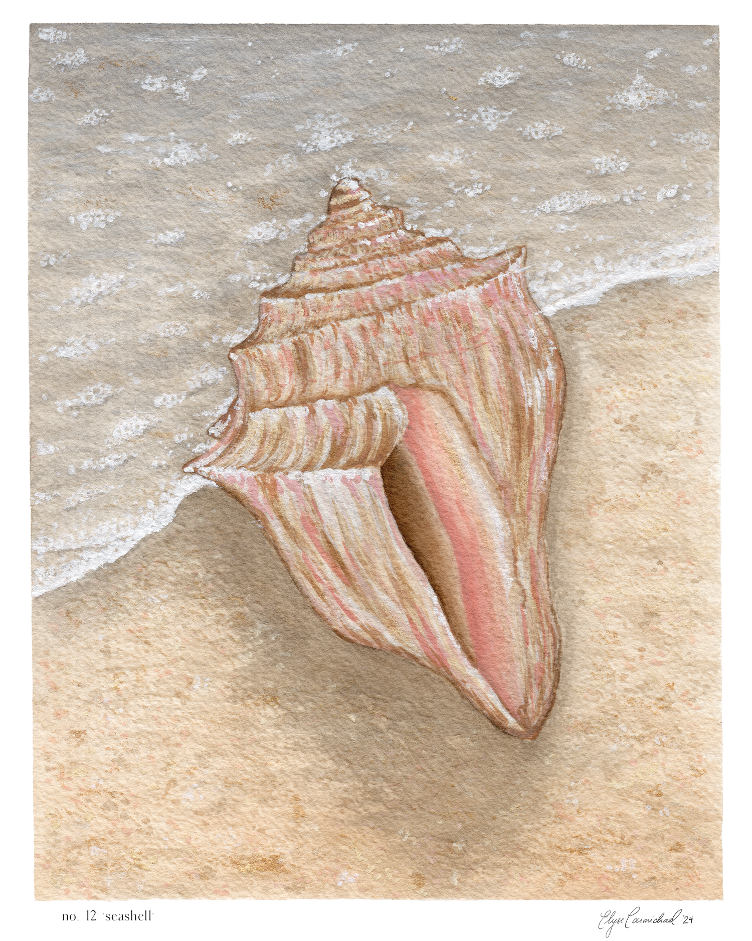 No. 12 'seashell' print – shopharvestmoonhome