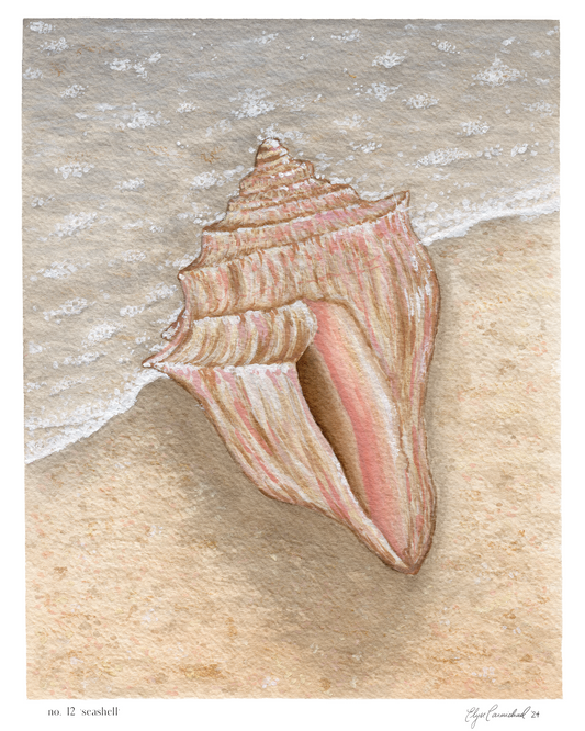 No. 12 'seashell' print